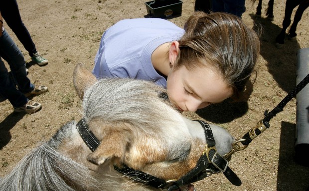 Storytime at Nanni with minature horses